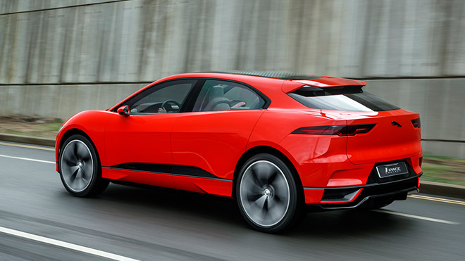 jaguaripace6