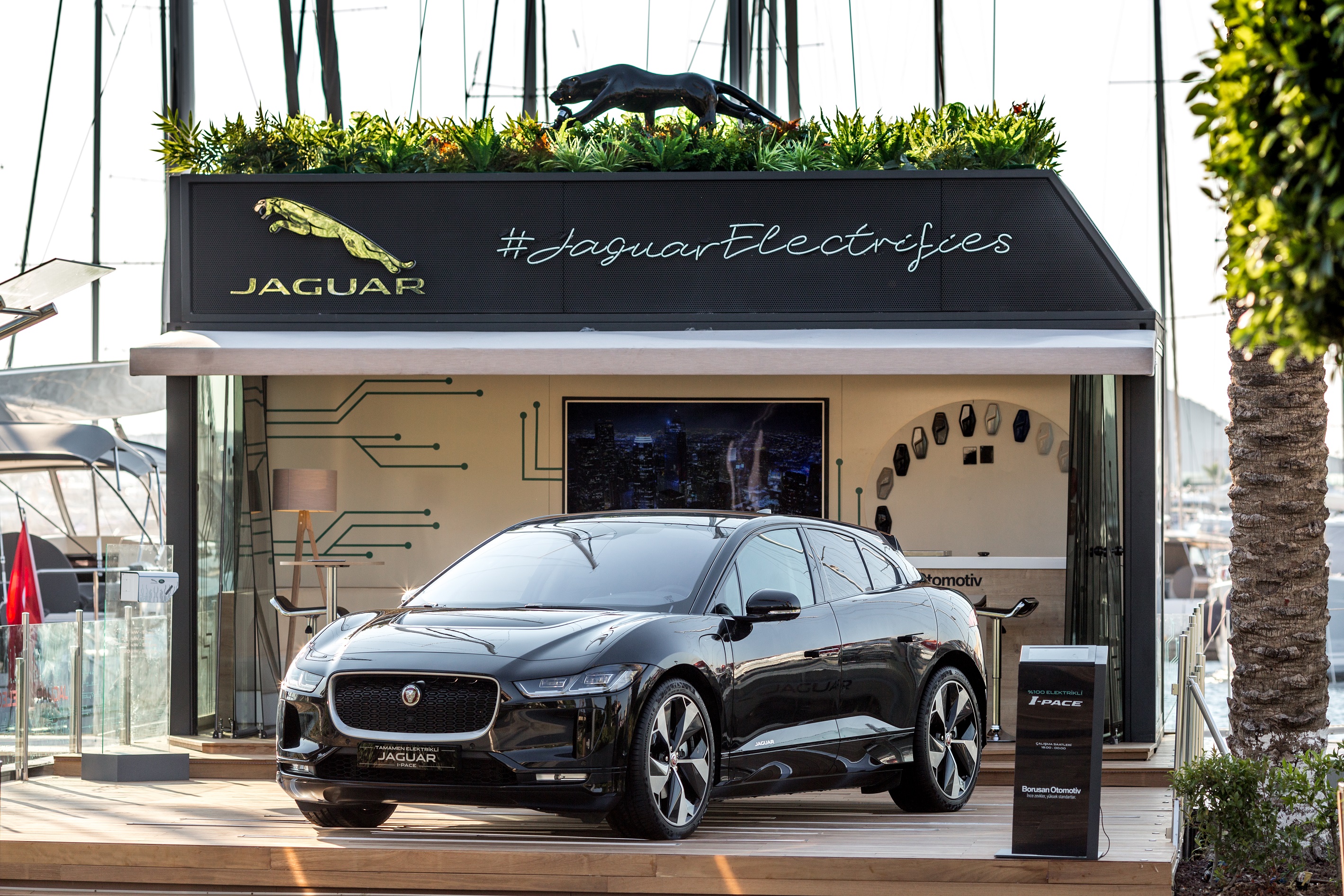 Jaguar_Electric_Zone_1